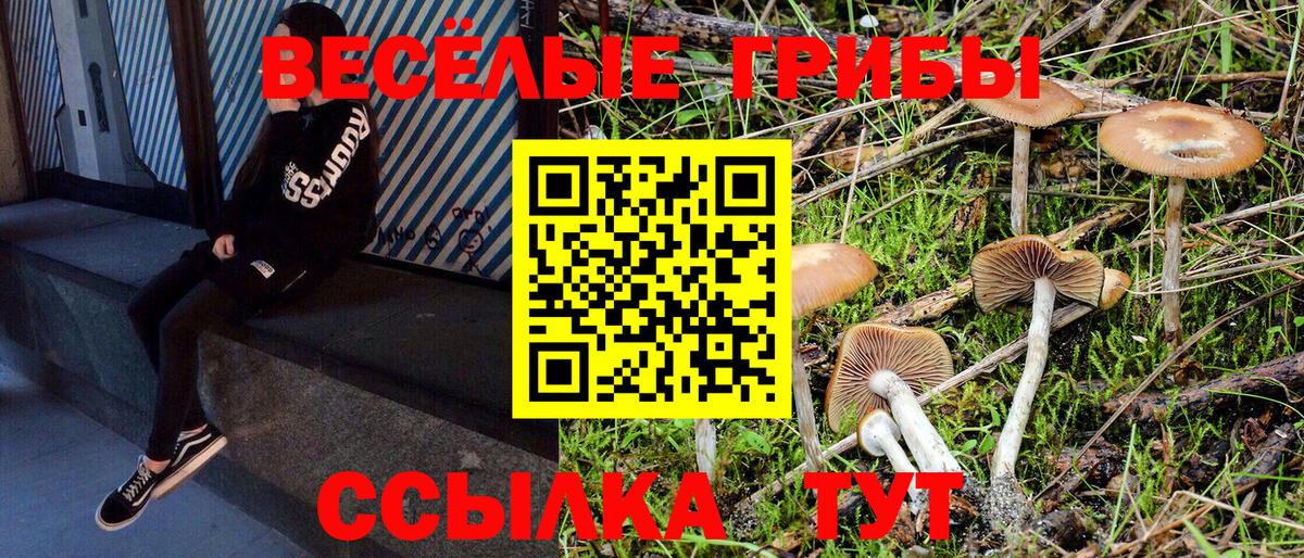Галлюциногенные грибы MAGIC MUSHROOMS Новодвинск