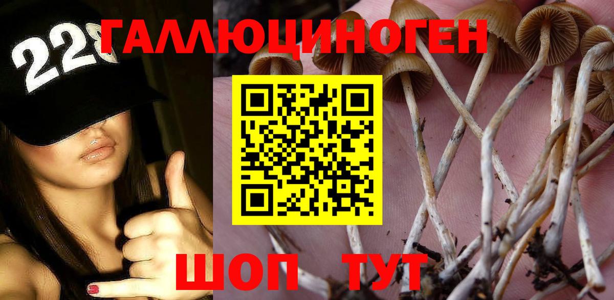 Новодвинск  Галлюциногенные грибы прущие грибы  Псилоцибиновые грибы GOLDEN TEACHER  Вход с VPN 