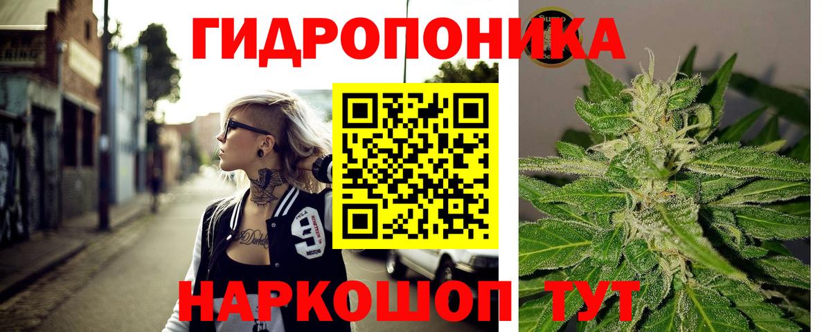 Марихуана Amnesia  Бошки марихуана LSD WEED  Вход с VPN  Новодвинск  Бошки Шишки планчик 